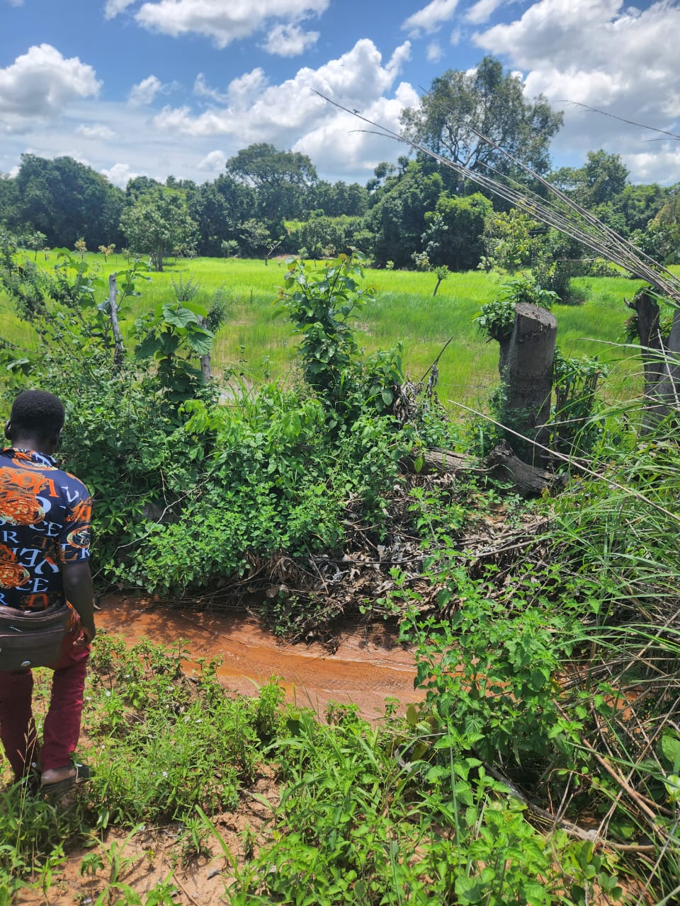 Des terrains de 600m² à Torkaha en bordure d'eau